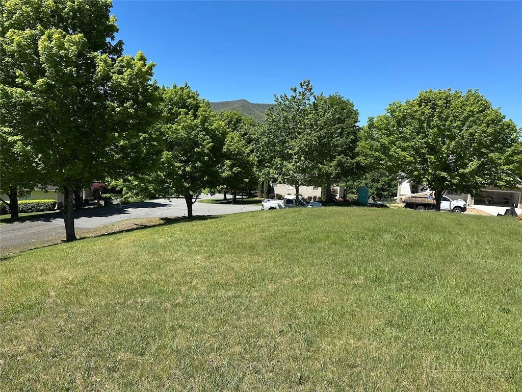 Image number 1 for the current listing