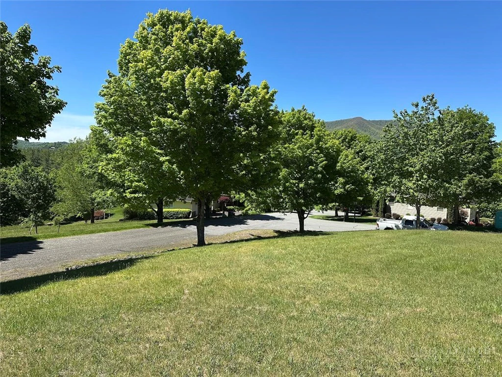 Image number 2 for the current listing