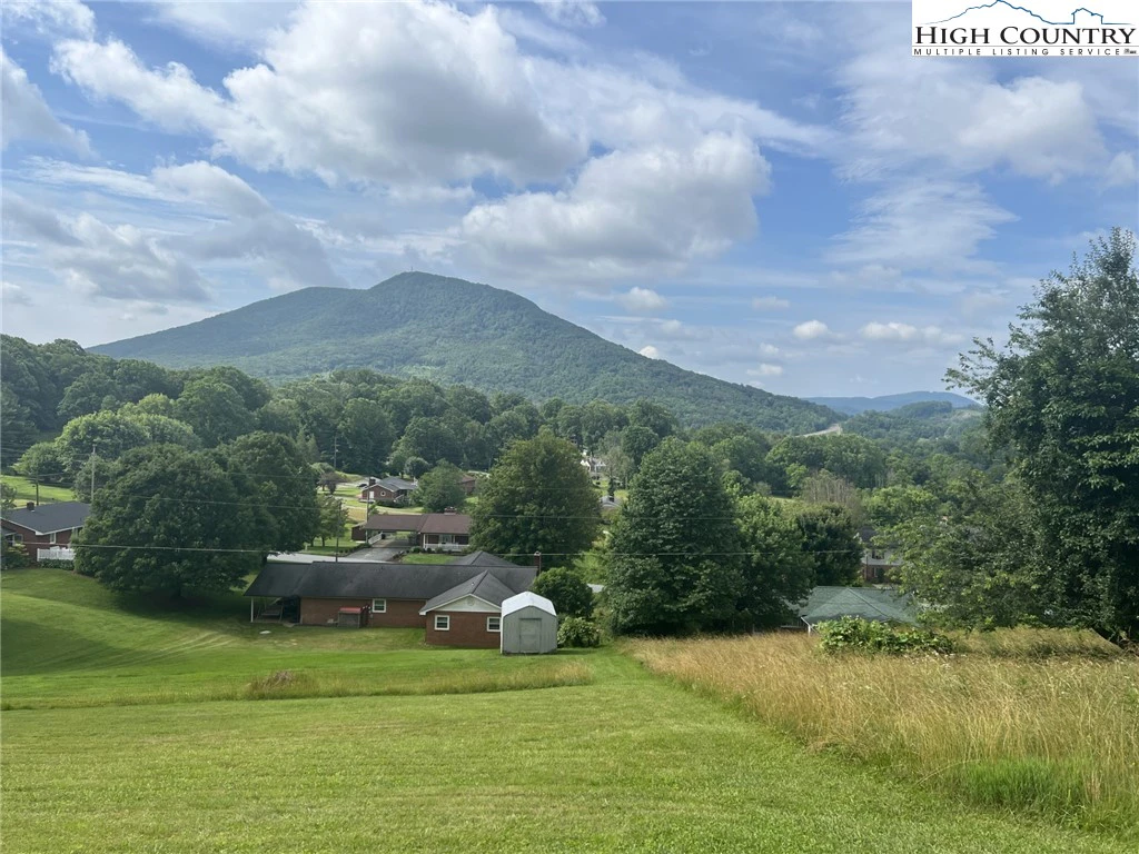 Image number 1 for the current listing