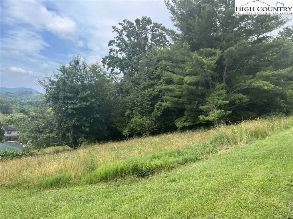 Image number 4 for the current listing