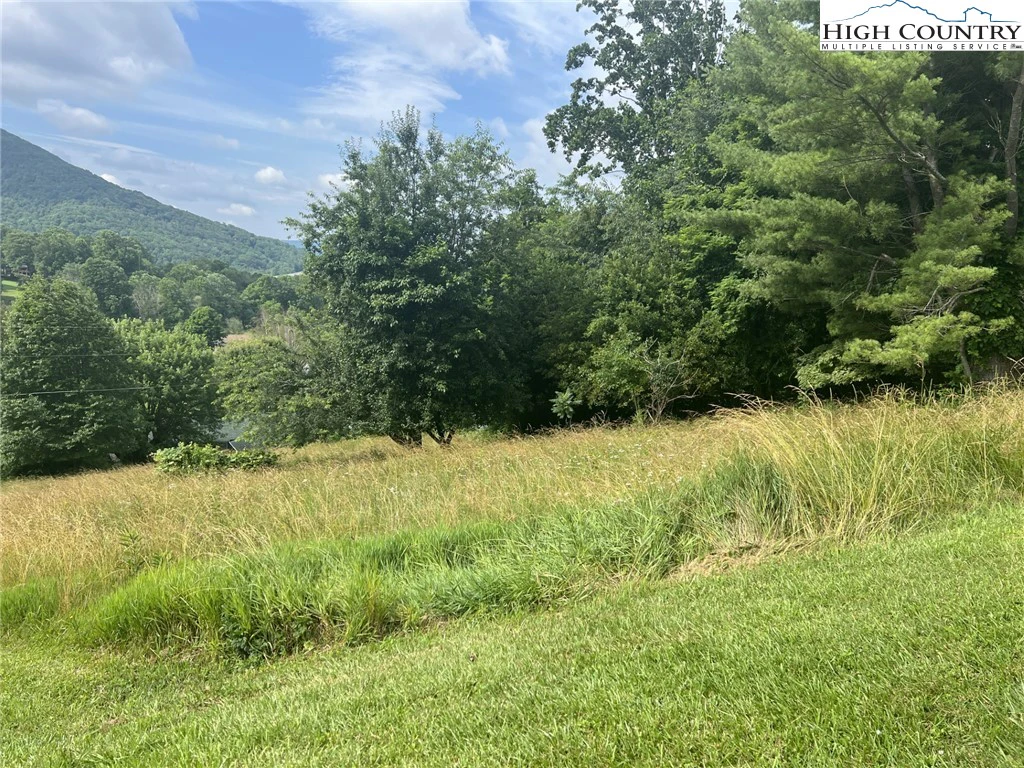 Image number 5 for the current listing