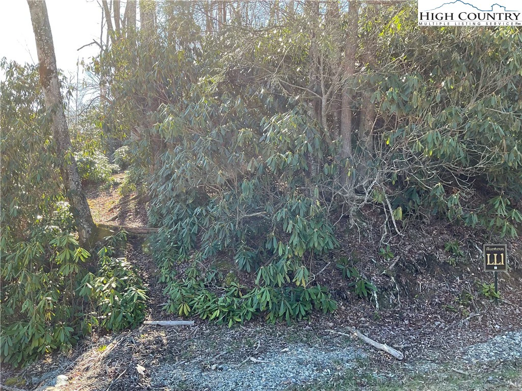 Image number 7 for the current listing