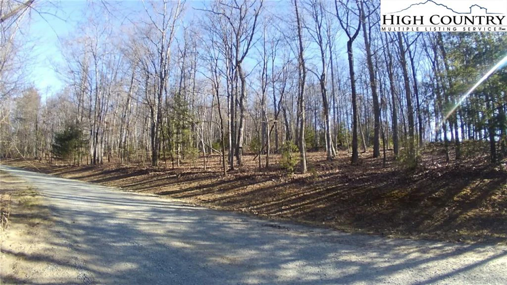 Image number 13 for the current listing