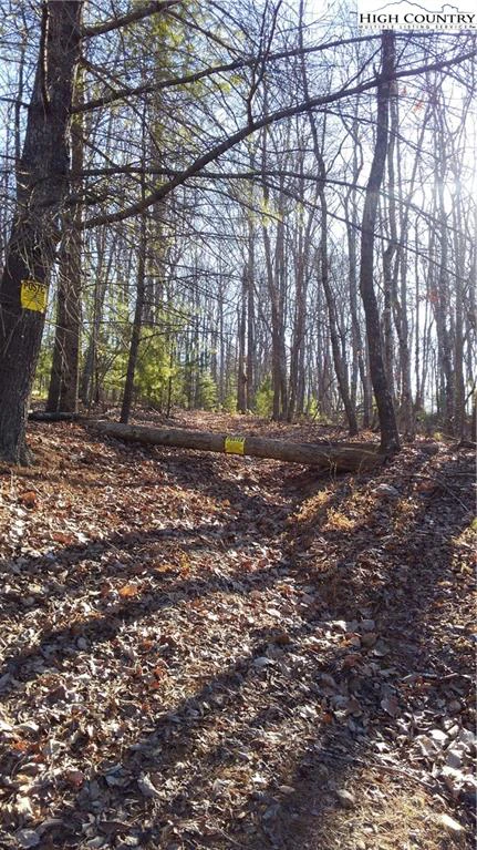 Image number 4 for the current listing