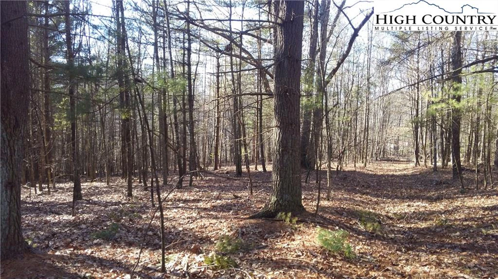Image number 5 for the current listing
