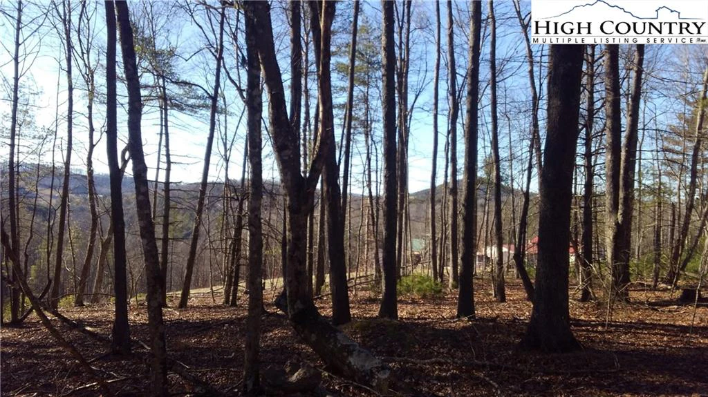 Image number 7 for the current listing