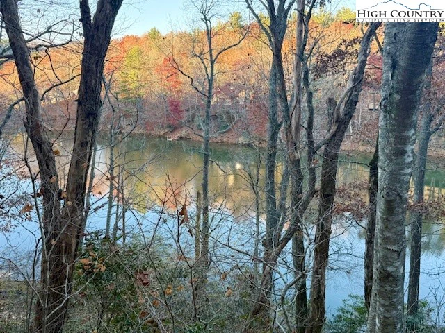 Image number 1 for the current listing