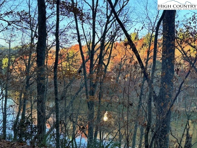 Image number 3 for the current listing