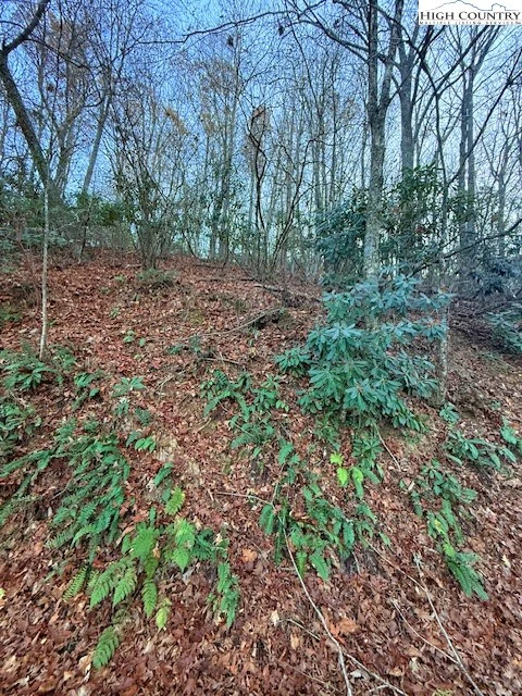 Image number 4 for the current listing