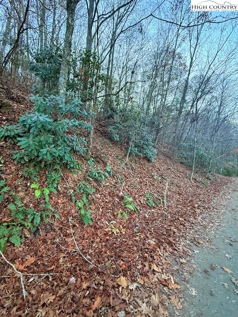 Image number 5 for the current listing