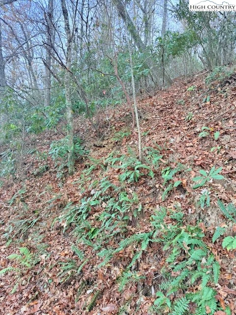 Image number 7 for the current listing
