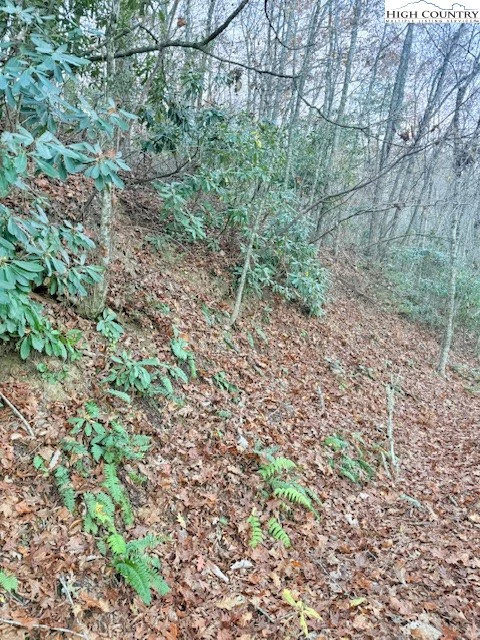 Image number 8 for the current listing