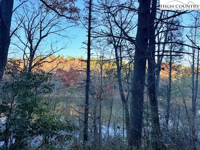 Image number 9 for the current listing