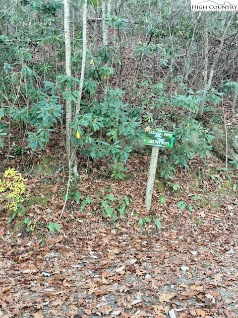 Image number 10 for the current listing