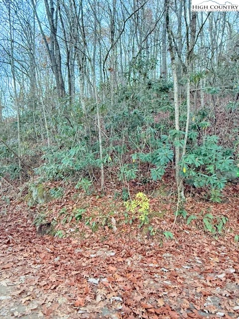 Image number 11 for the current listing