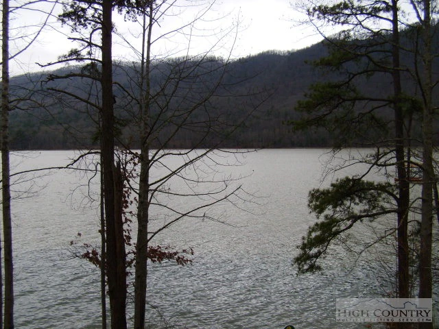 Image number 1 for the current listing