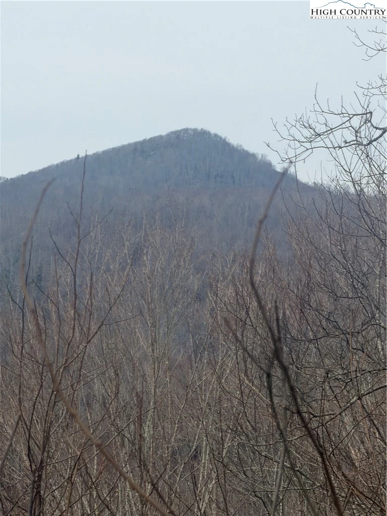 Image number 1 for the current listing