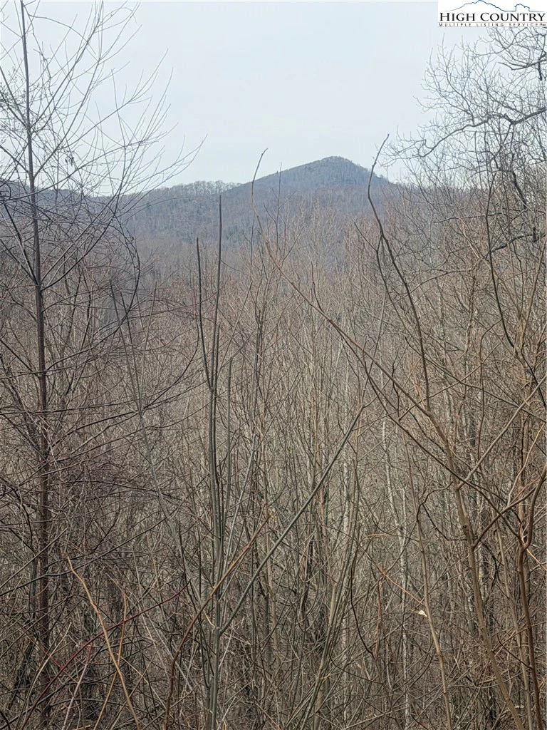 Image number 9 for the current listing