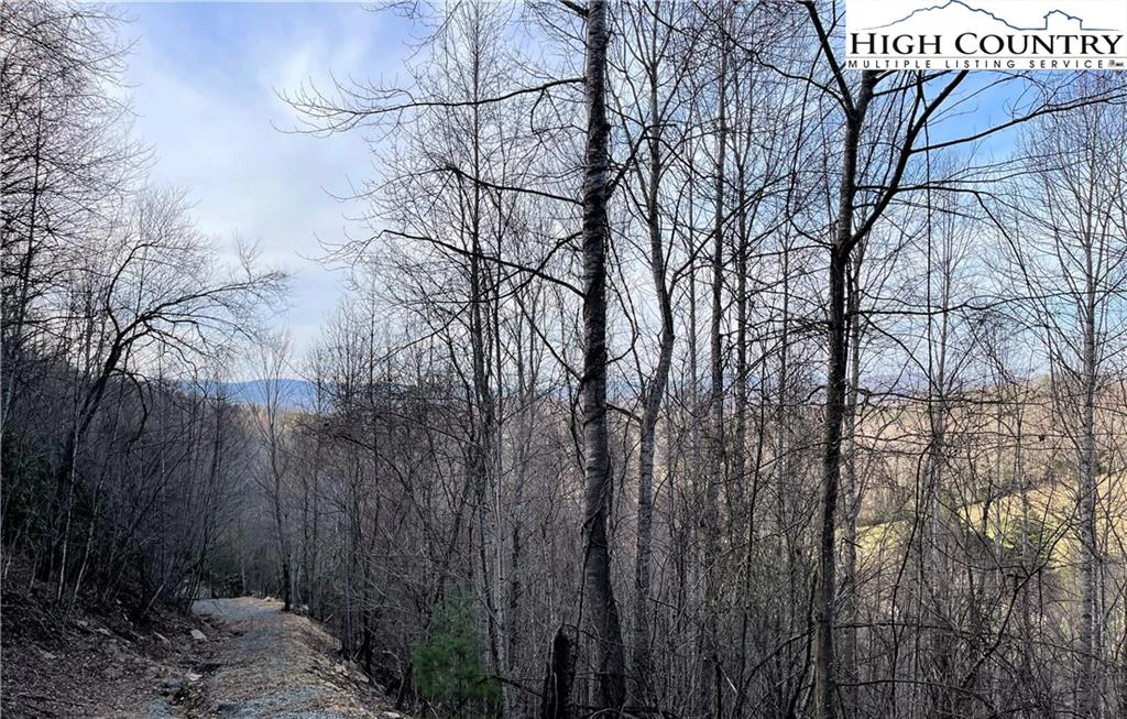 Image number 1 for the current listing