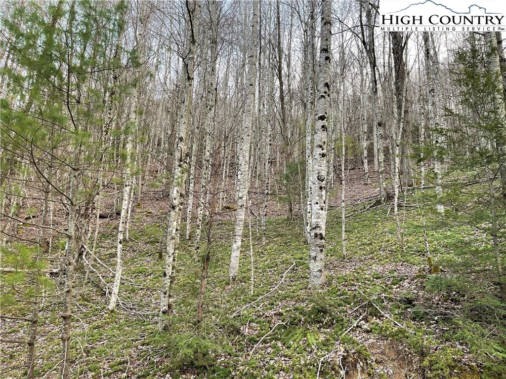 Image number 12 for the current listing