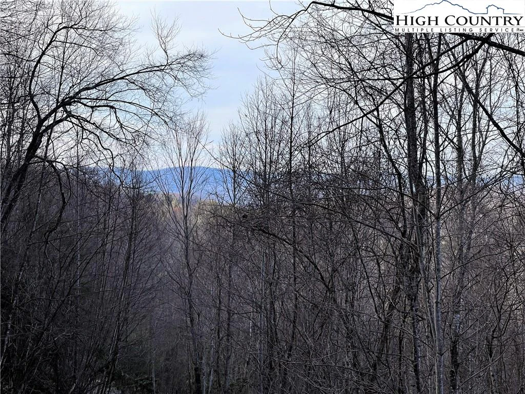 Image number 13 for the current listing