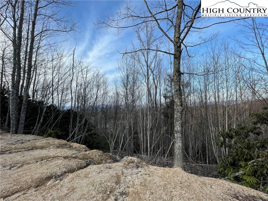 Image number 3 for the current listing