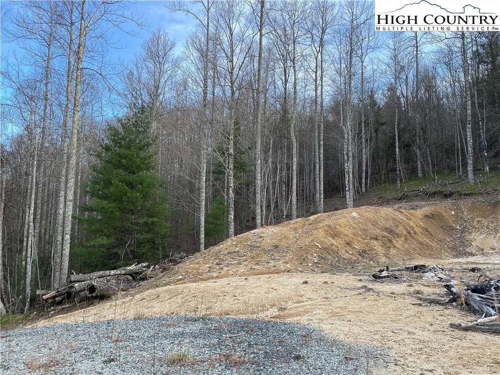 Image number 4 for the current listing