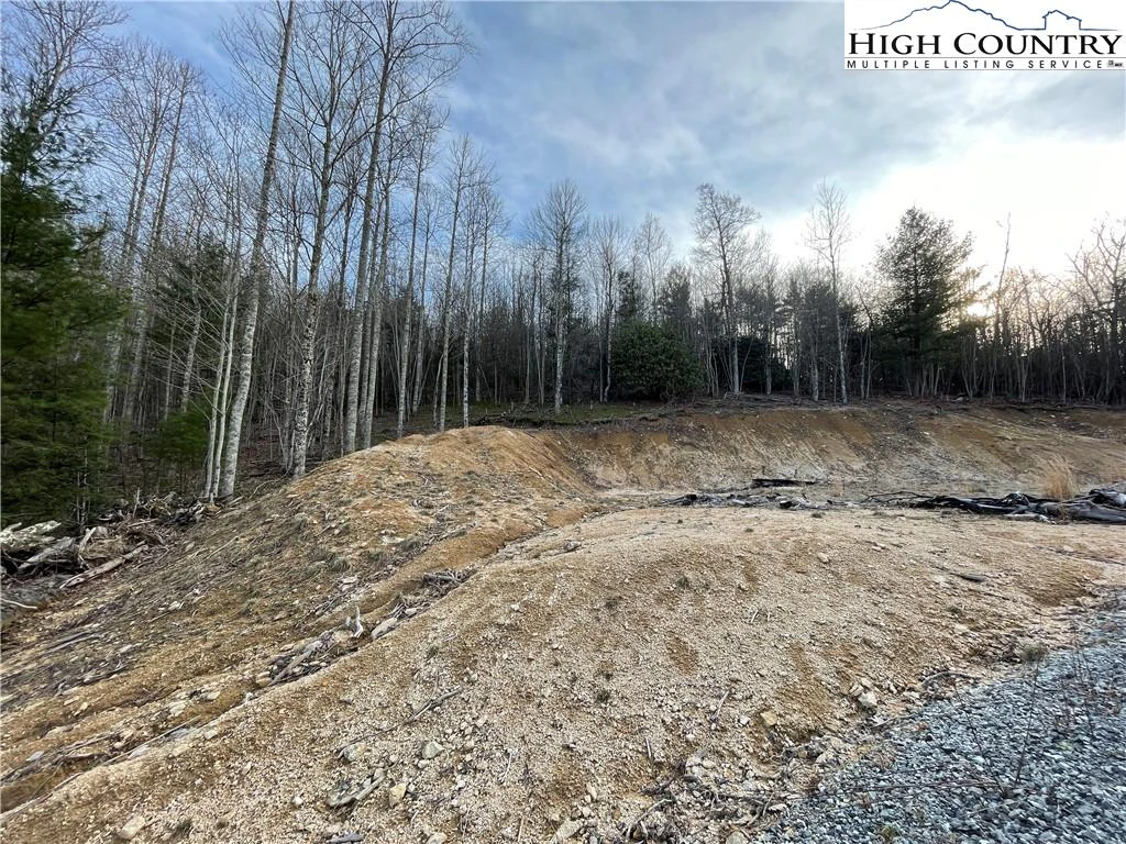 Image number 8 for the current listing