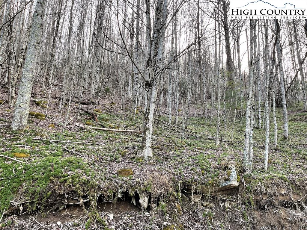 Image number 10 for the current listing
