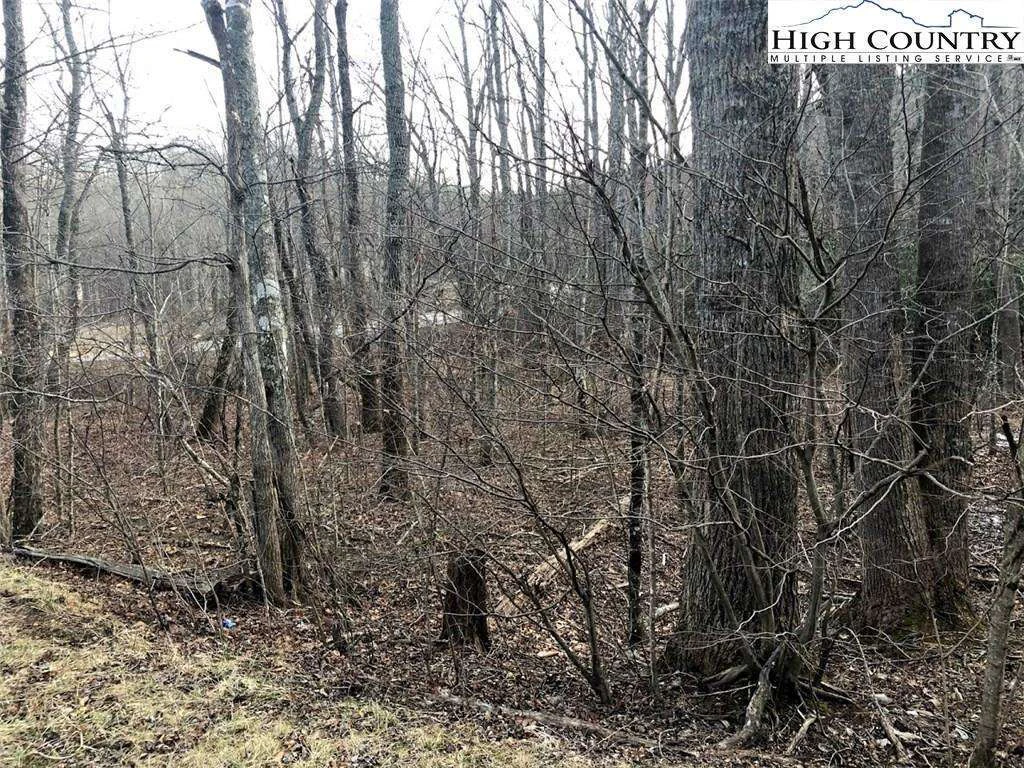 Image number 11 for the current listing