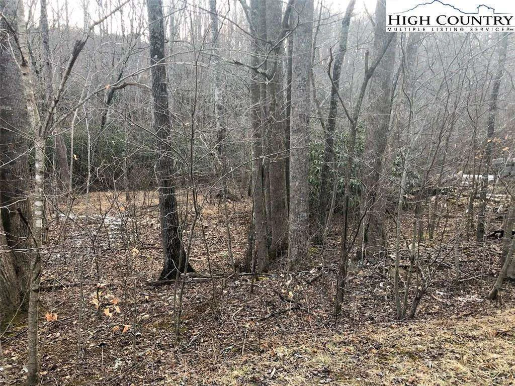 Image number 12 for the current listing