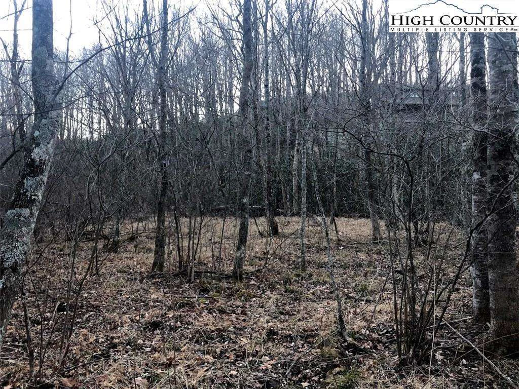 Image number 5 for the current listing