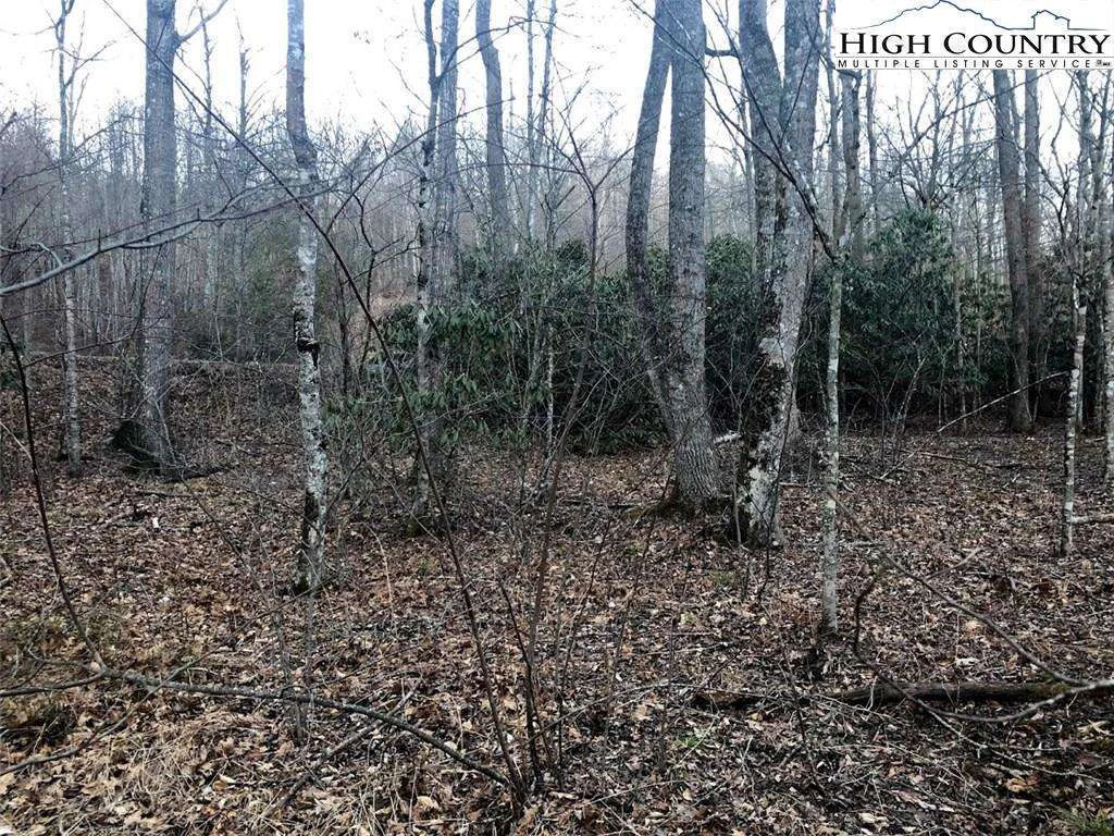 Image number 6 for the current listing