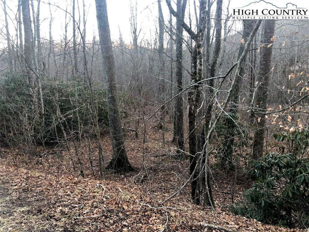 Image number 9 for the current listing
