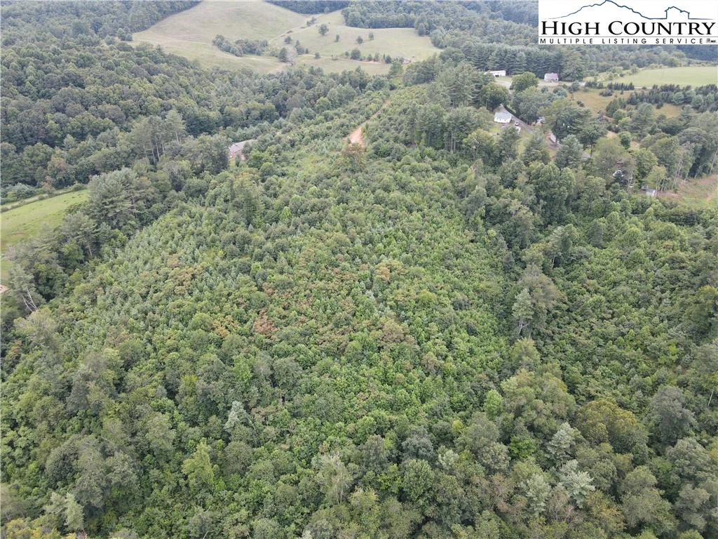 Image number 1 for the current listing