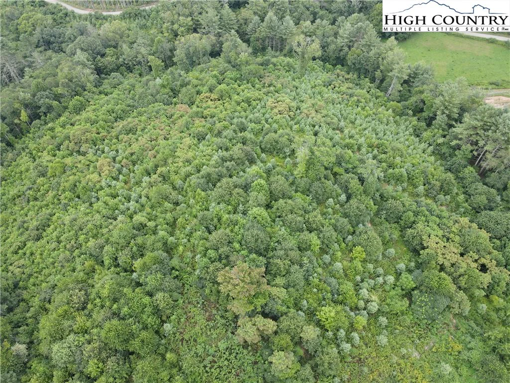 Image number 11 for the current listing