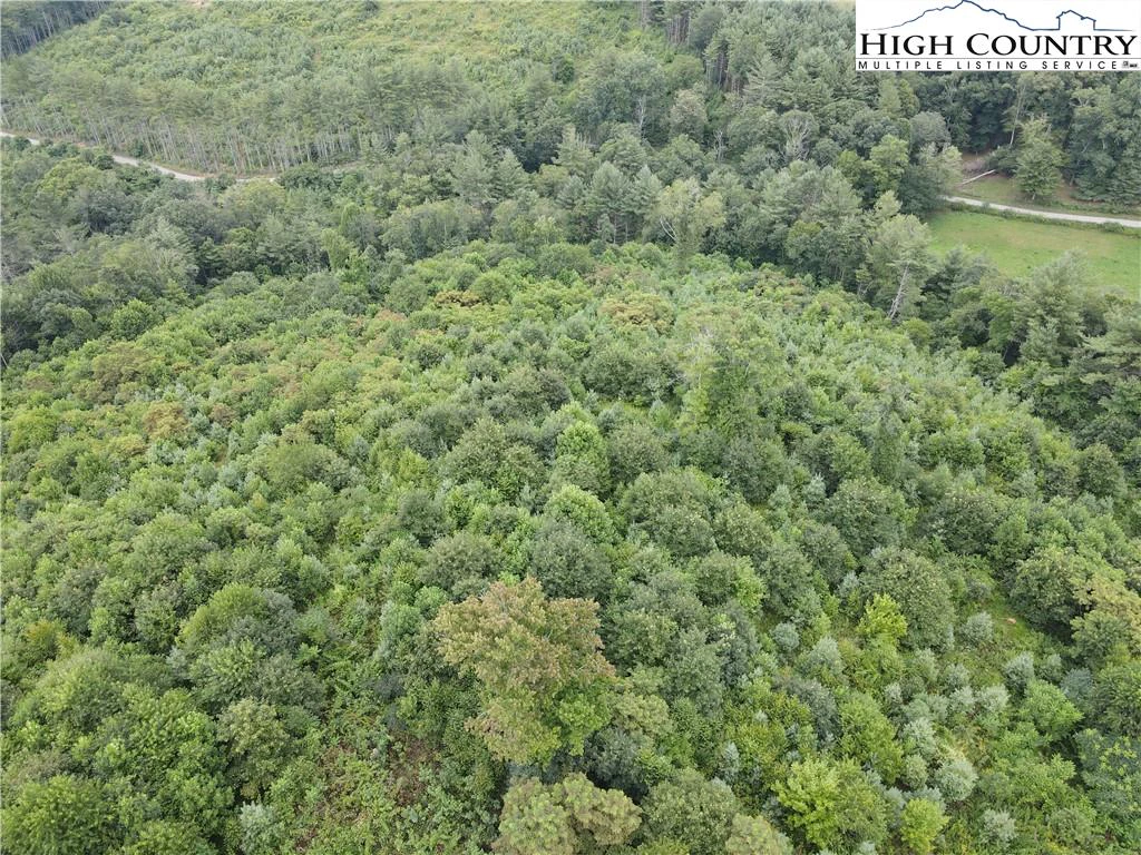 Image number 3 for the current listing
