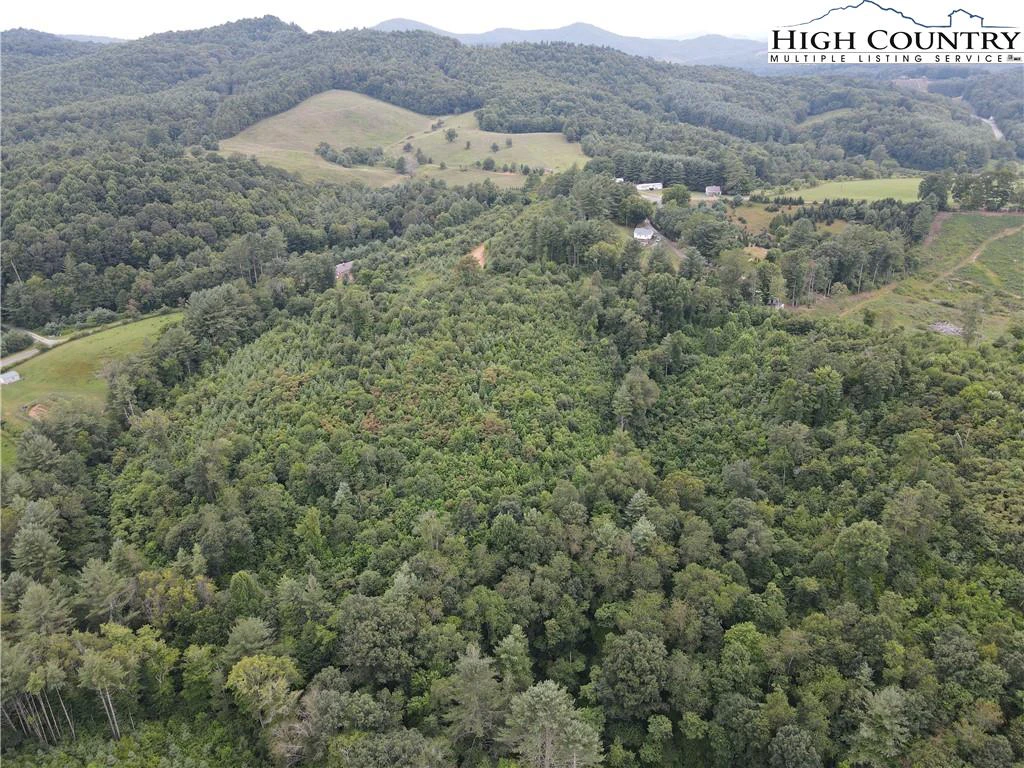 Image number 7 for the current listing