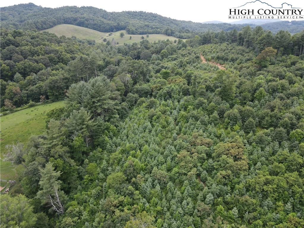Image number 19 for the current listing