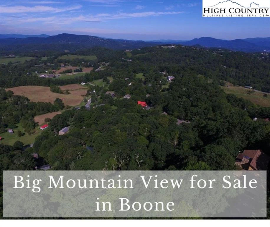 Image number 1 for the current listing