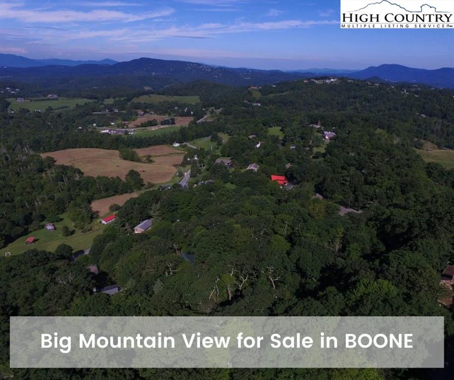 Image number 1 for the current listing