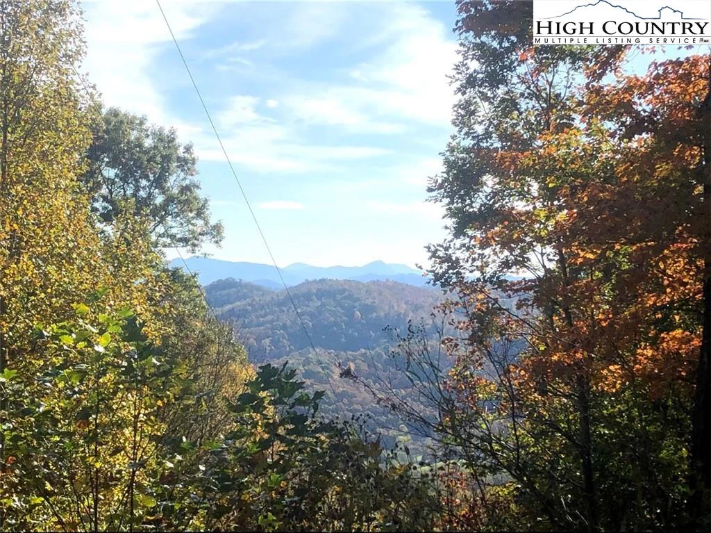 Image number 1 for the current listing