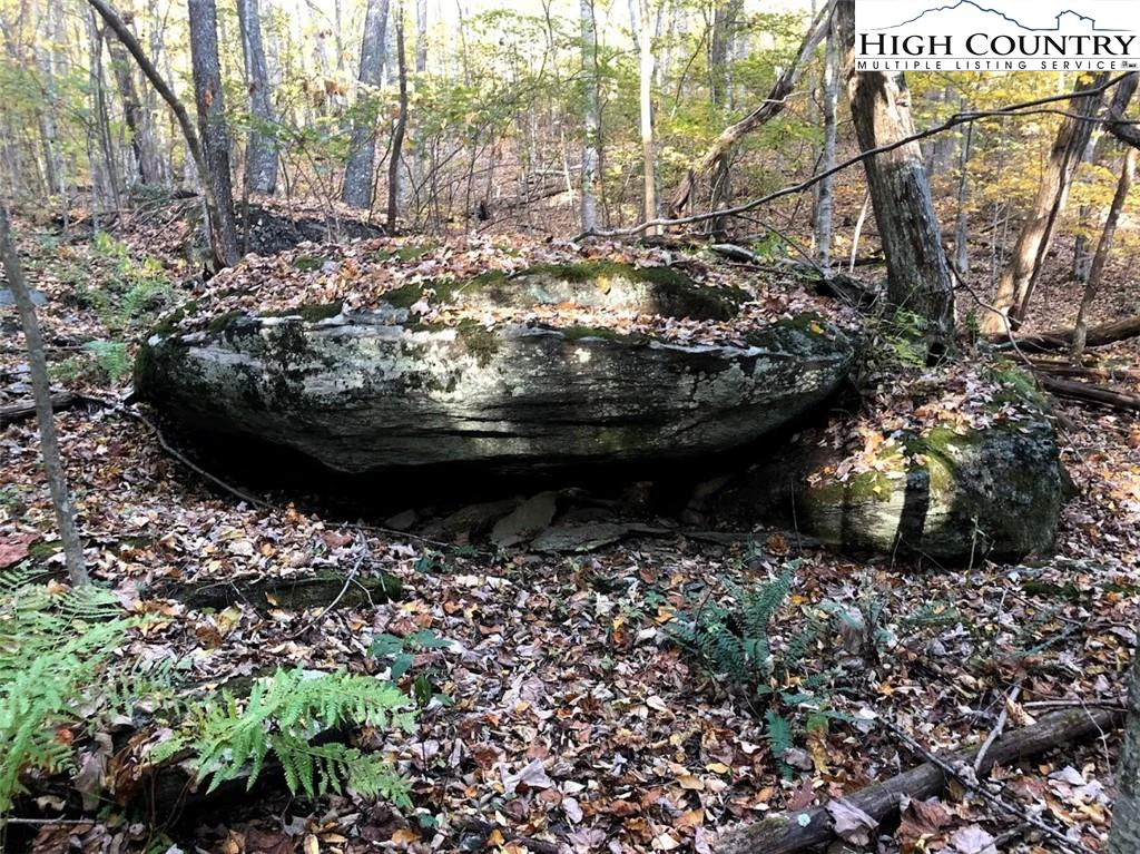 Image number 5 for the current listing