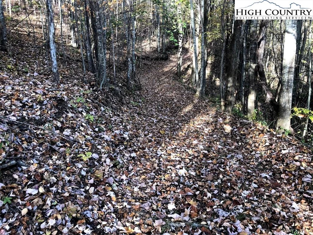 Image number 2 for the current listing
