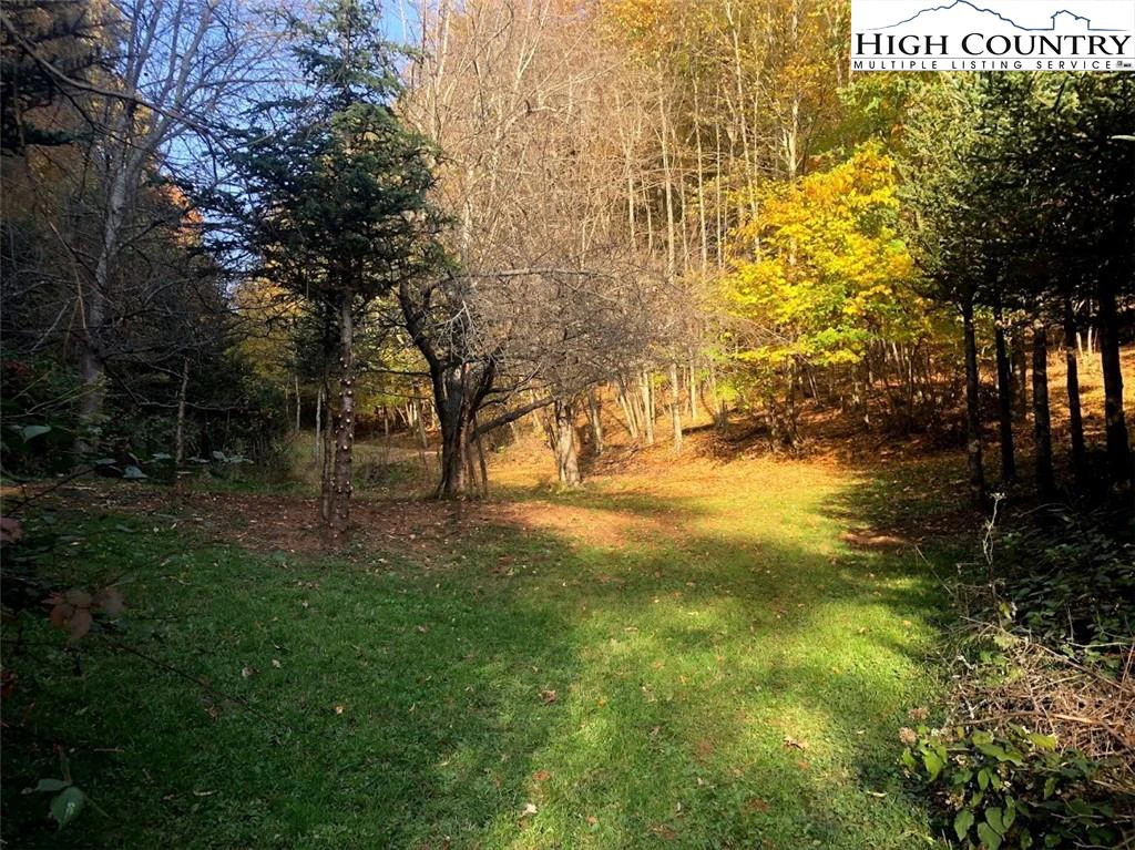 Image number 22 for the current listing