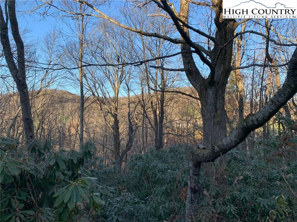 Image number 1 for the current listing