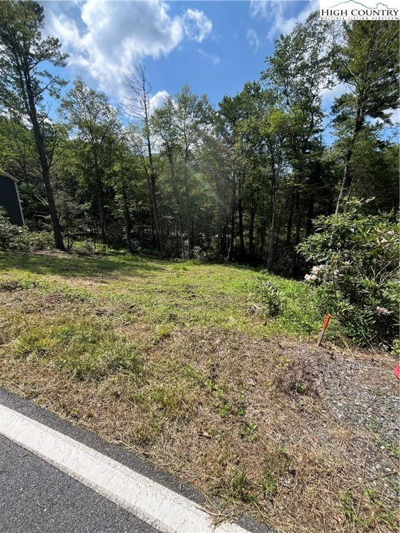 Image number 1 for the current listing