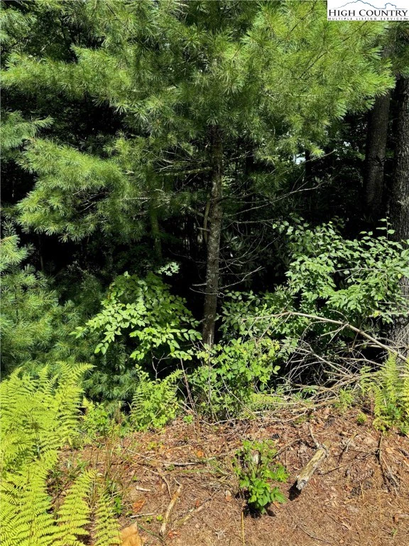 Image number 10 for the current listing