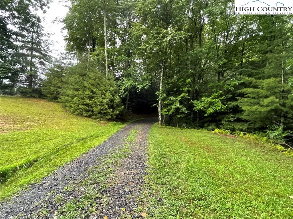 Image number 1 for the current listing