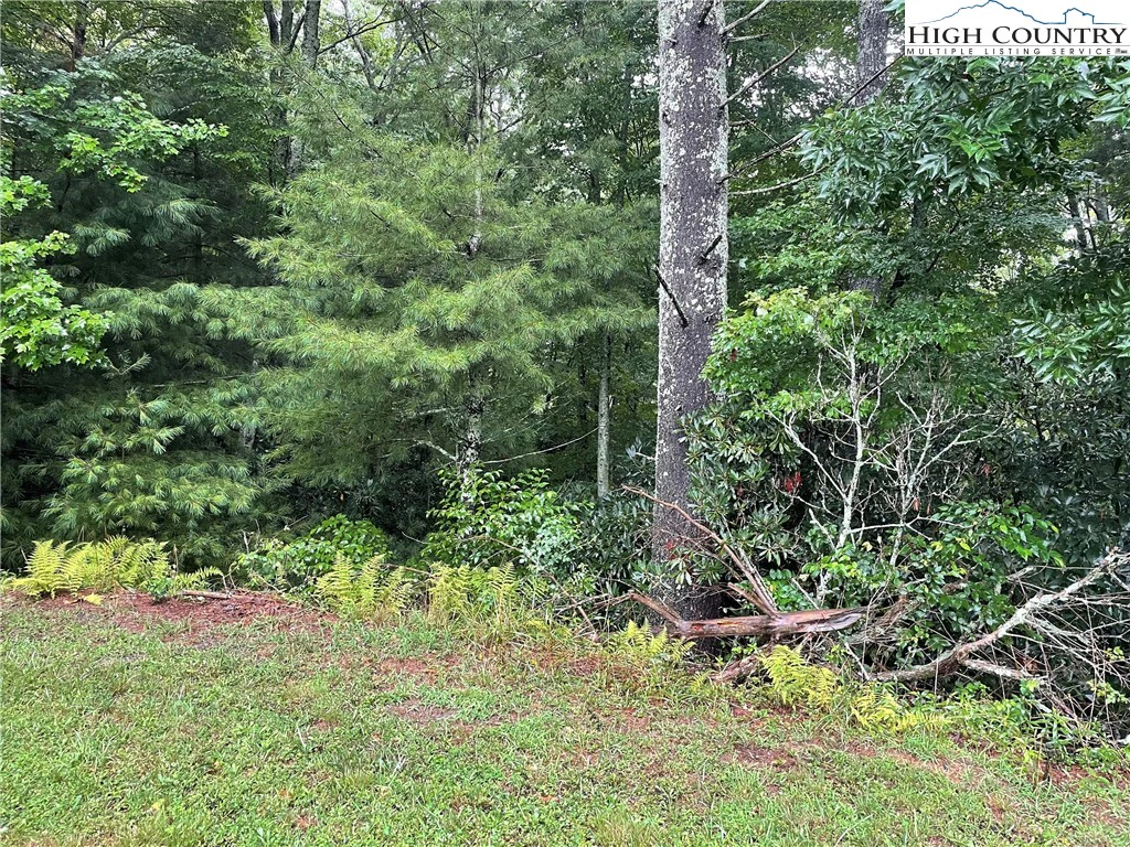 Image number 4 for the current listing